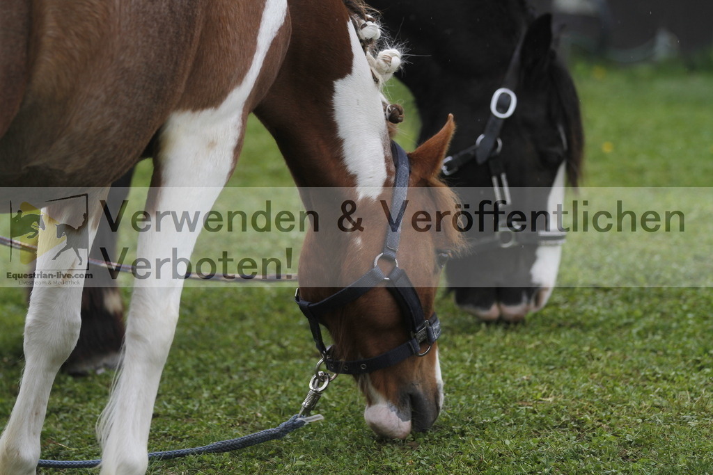 _MG_3996 | equestrian-live-com