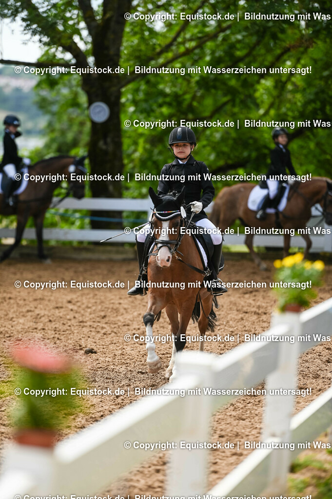 20230716_10-3_Reiter-WB Schritt - Trab - Galopp_0153 | equistock