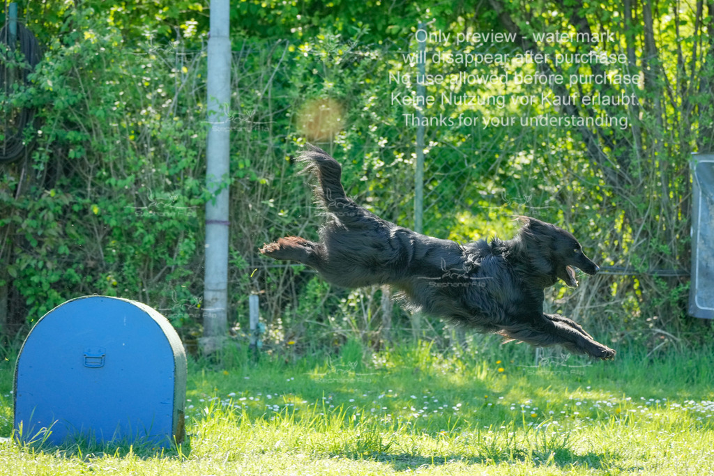 Sa_VK3_03-69 | stephaniefillaphotographie - Realisiert mit Pictrs.com