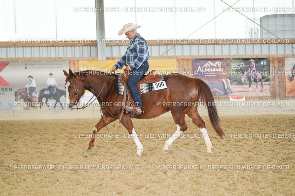 DSC01509 | Pferdegrafie