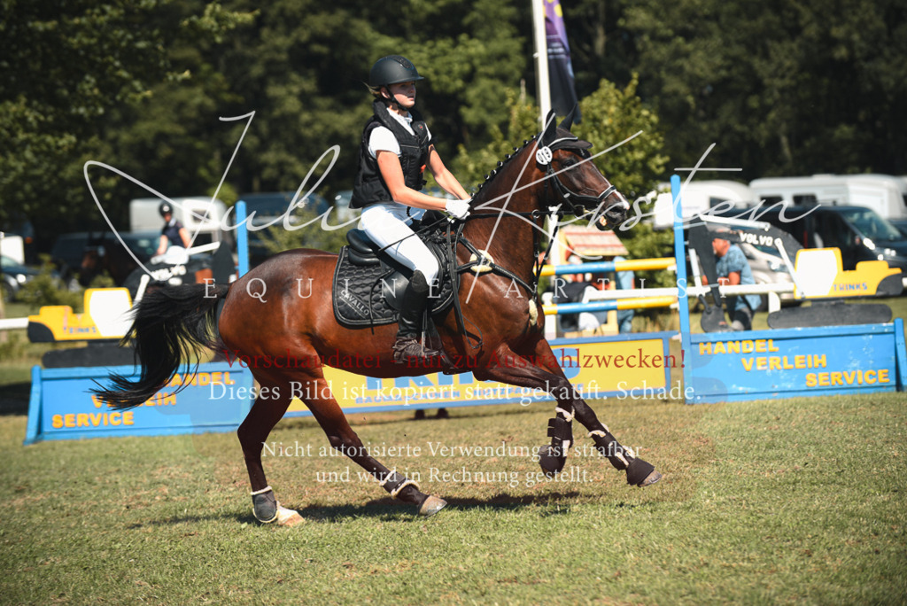 DSC_7203 | Pferde- und Turnierfotografie in Westsachsen. Pferdeportraits, Auftragszeichnungen und intuitive Kunst.