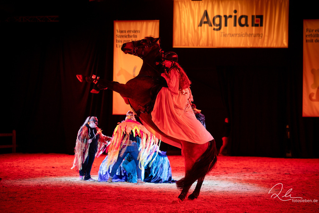 846A9275 | fotosleben - Realisiert mit Pictrs.com