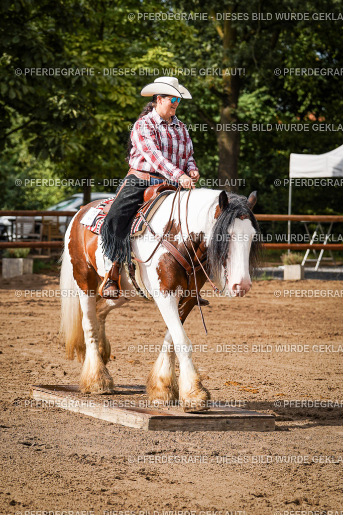 DSC09899 | Pferdegrafie