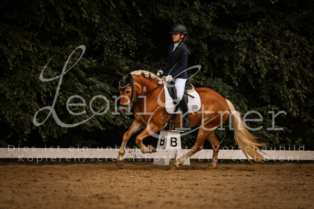 DoDrE00325 | Leoni Ertmer Photography - Realisiert mit Pictrs.com