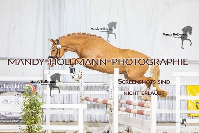 47 (26 von 56) | mandyhollmannphotographie