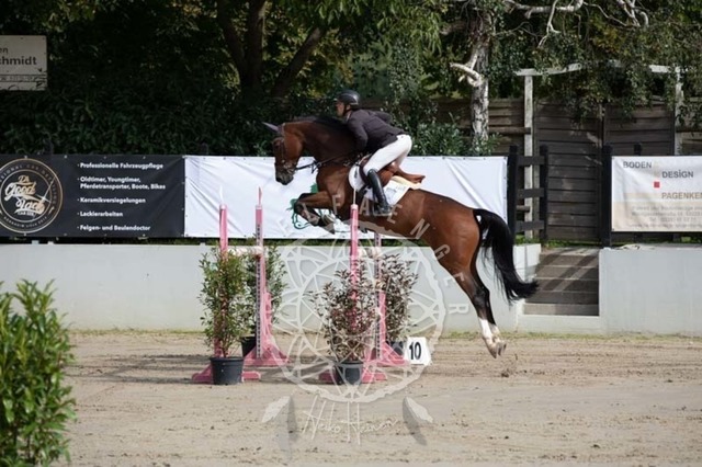 2B4A1289 | pixelfaenger - Realisiert mit Pictrs.com