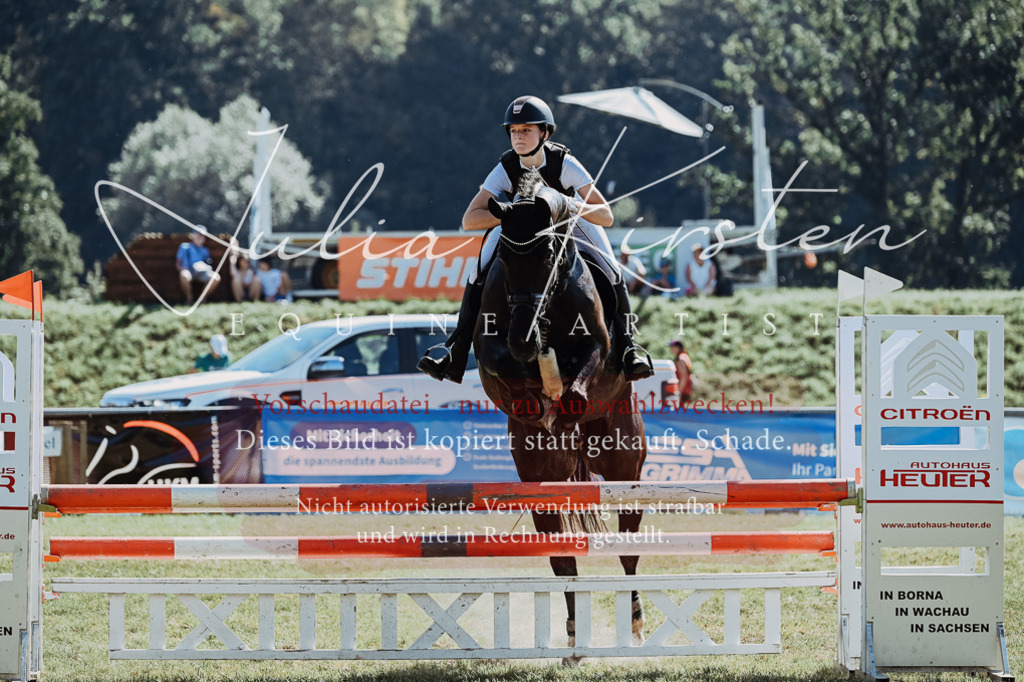 DSC_6006 | Pferde- und Turnierfotografie in Westsachsen. Pferdeportraits, Auftragszeichnungen und intuitive Kunst.