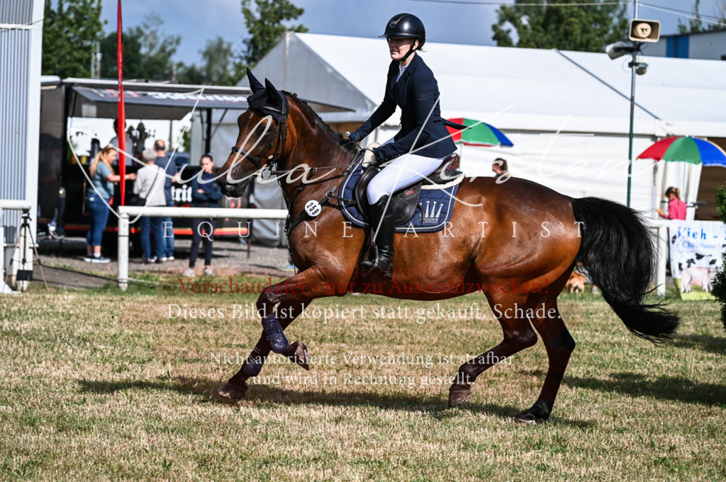 DSC_7864 | Pferde- und Turnierfotografie in Westsachsen. Pferdeportraits, Auftragszeichnungen und intuitive Kunst.