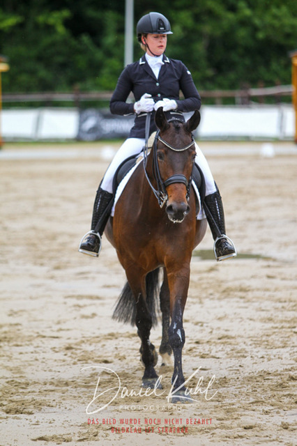 DKP46843 | Turniersportfotografie; Pferdefotografie; Dressurfotografie