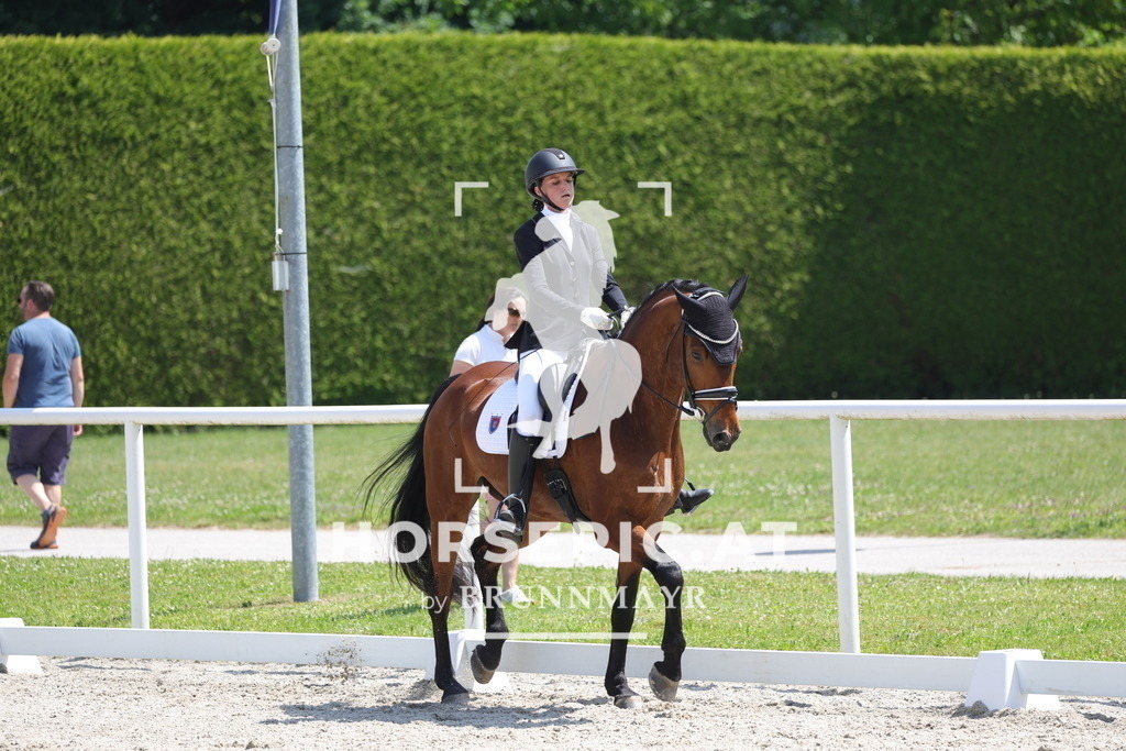 0P6A5856 | Willkommen bei Brunnmayr - Design & Fotografie – Ihrem Spezialisten für Reitturniere und Pferdeveranstaltungen in Oberösterreich, Salzburg und Bayern! Seit über 17 Jahren sind wir leidenschaftlich dabei.