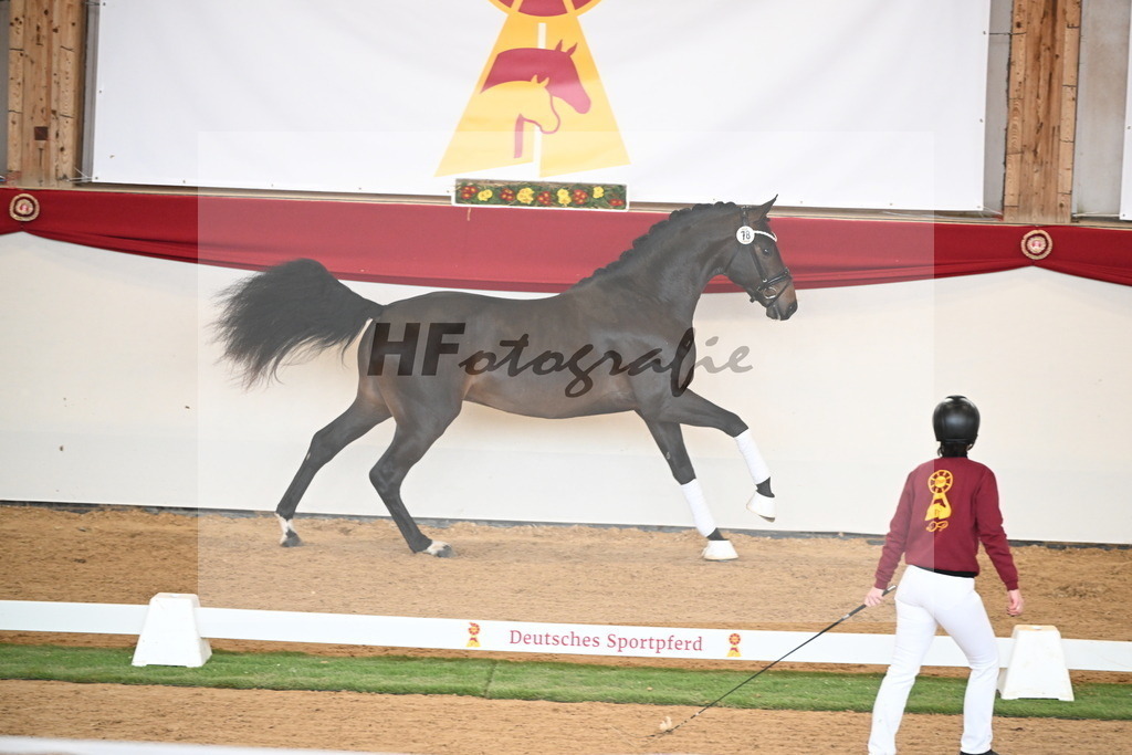 Kat.-Nr. 78 v. Springbank II VH_Reichert_2250756 | hf-fotografie - Realizzato con Pictrs.com