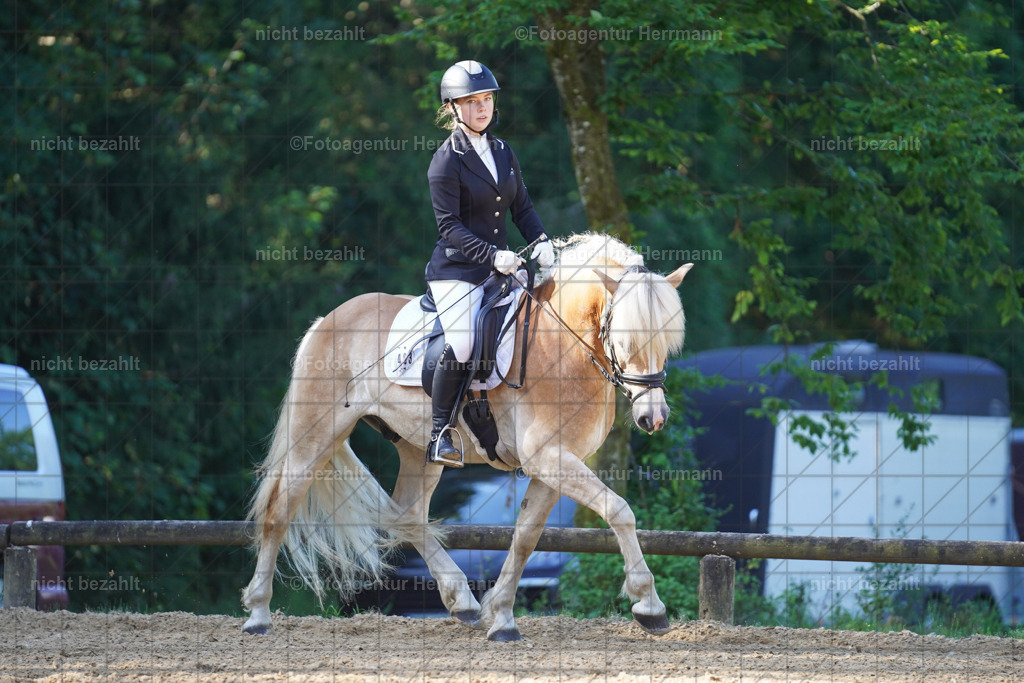 20240706-FAH04456 | Grafing Turnierfotos, Reitverein Ebersberg, Turnierfotografen Bayern, reitsportbilder, Pferdefotograf, reitsportfotograf, Sportbilder, Reitsportfotografie, Fotoagentur Herrmann, Turnierfotograf