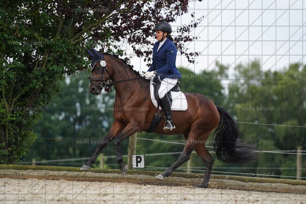 20230826-FAH04430 | Forstinning, 2023, Dressurturnier, Turniersportbilder, Turnierfotografen Bayern, Fotoagentur Herrmann, Reitsportfotografie, Turnierbilder