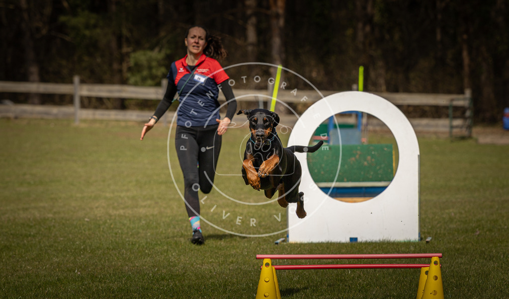 Pfotenfotografie_DV3A5651 | Hundefotografie, Tierfotograf, Pfotenfotografie, Fotoshooting Hund, Hunde Portrait, Hundesport, Hundeportraits, Heideshooting, Hunde, Sportfotograf, Hundefotograf, Turnierhundsport, THS,  - Realisiert mit Pictrs.com