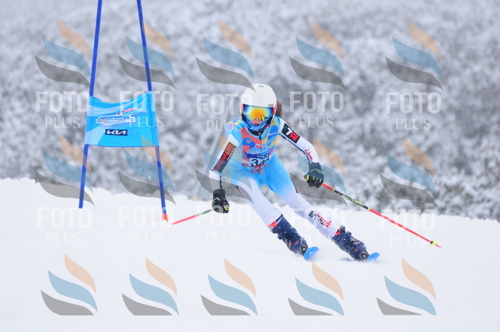 C3684 | holidayphoto