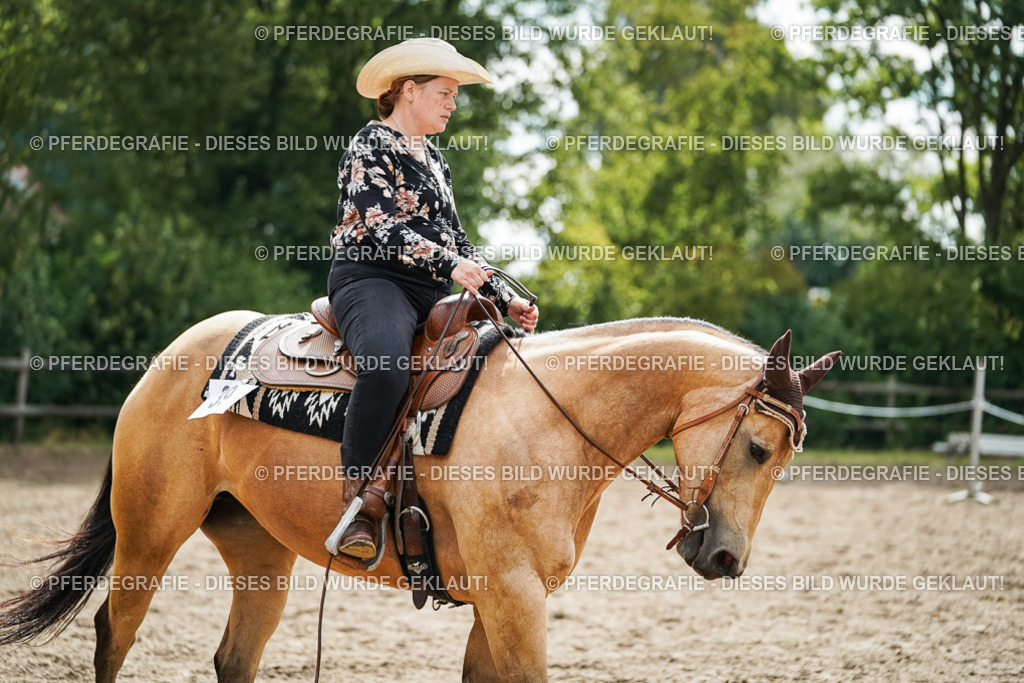 DSC04227 | Pferdegrafie