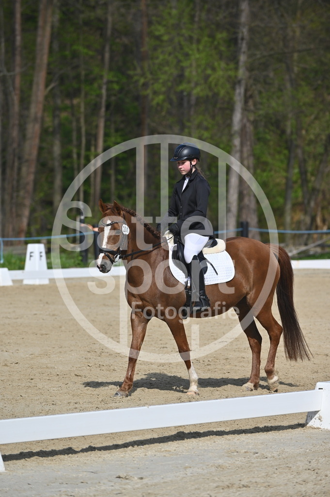 DSC_0589 | sattelsport - Realisiert mit Pictrs.com