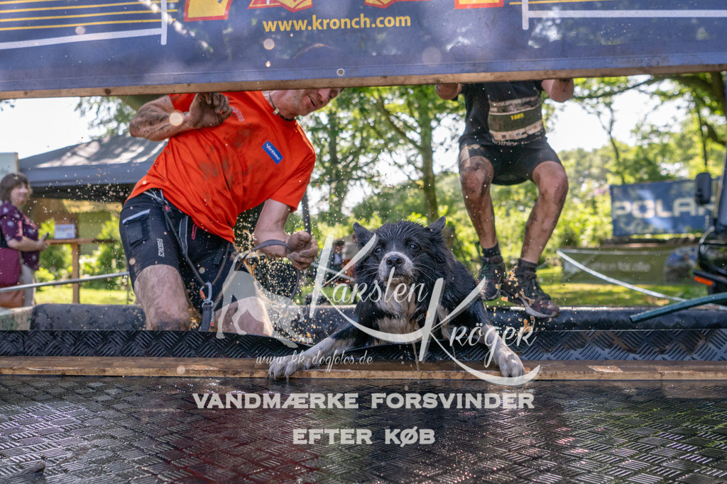 1530_ZZ91570 | kk-dogfotos