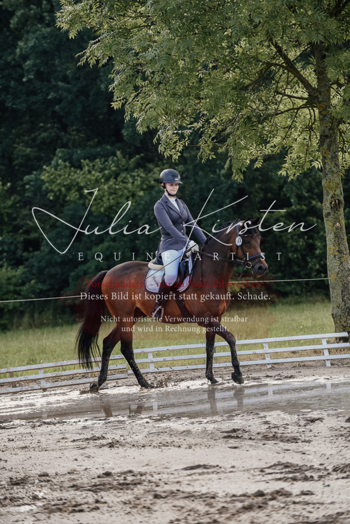 DSC_8269 | Pferde- und Turnierfotografie in Westsachsen. Pferdeportraits, Auftragszeichnungen und intuitive Kunst.