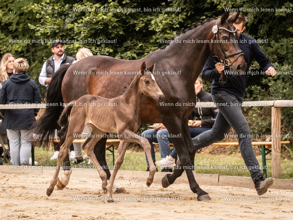 A10I3517 15.58.10 | photographylinaismer - Realisiert mit Pictrs.com