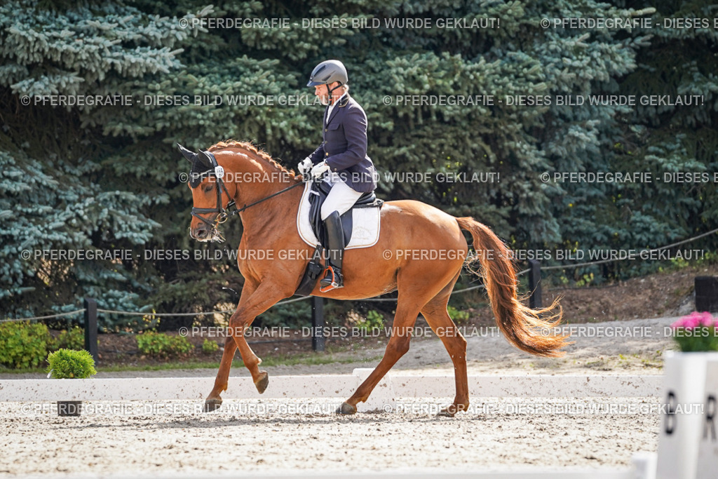 DSC06764 | Pferdegrafie