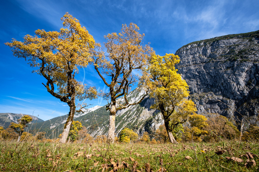 Ahornboden | Herbst in der Eng am Ahornboden