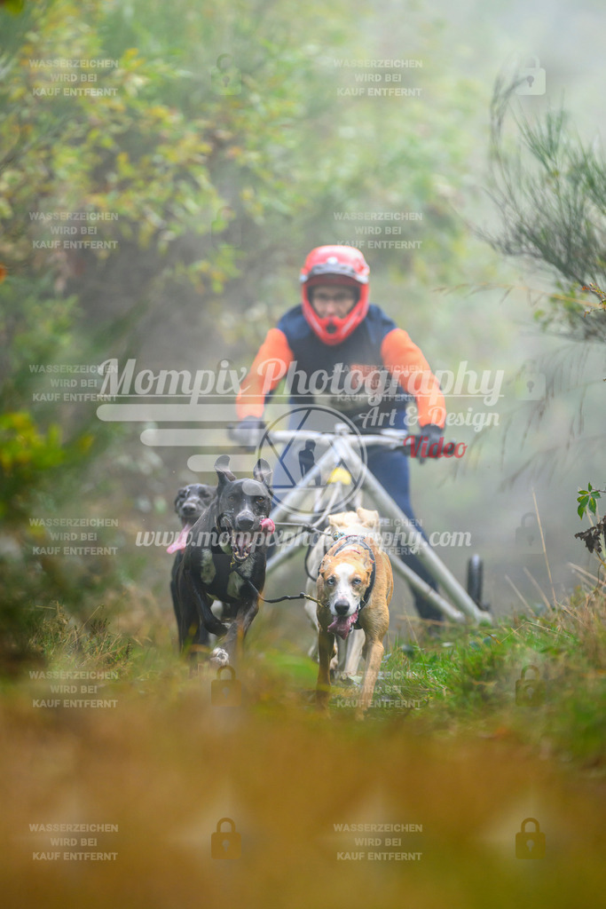 MompixPhotography_20TSB_E4_Kart-3 | PayLife