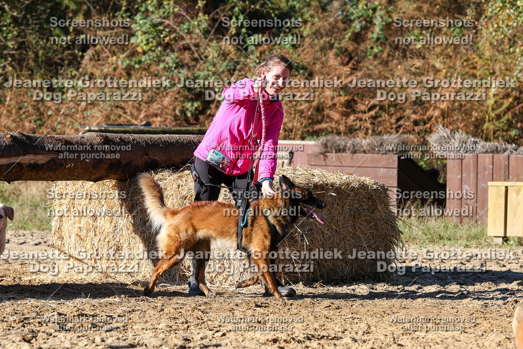 Dog Paparazzi - Strongdog 10-25-1990 | Dog Paparazzi Jeanette Grottendiek Fotografie & Videografie - Realisiert mit Pictrs.com