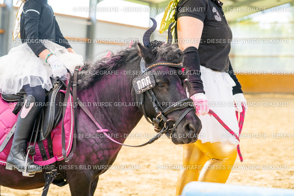 DSC00188 | Pferdegrafie