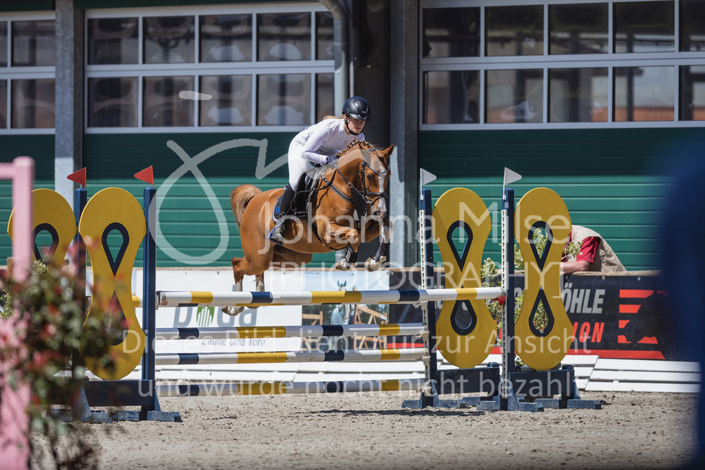 230610_Mühlen_Quali5j-906 | Deine schönsten Turniermomente als professionelle Fotos! Entdecke hochwertige Pferdesport-Fotografie im Online-Shop. Jetzt Fotos finden & bestellen!