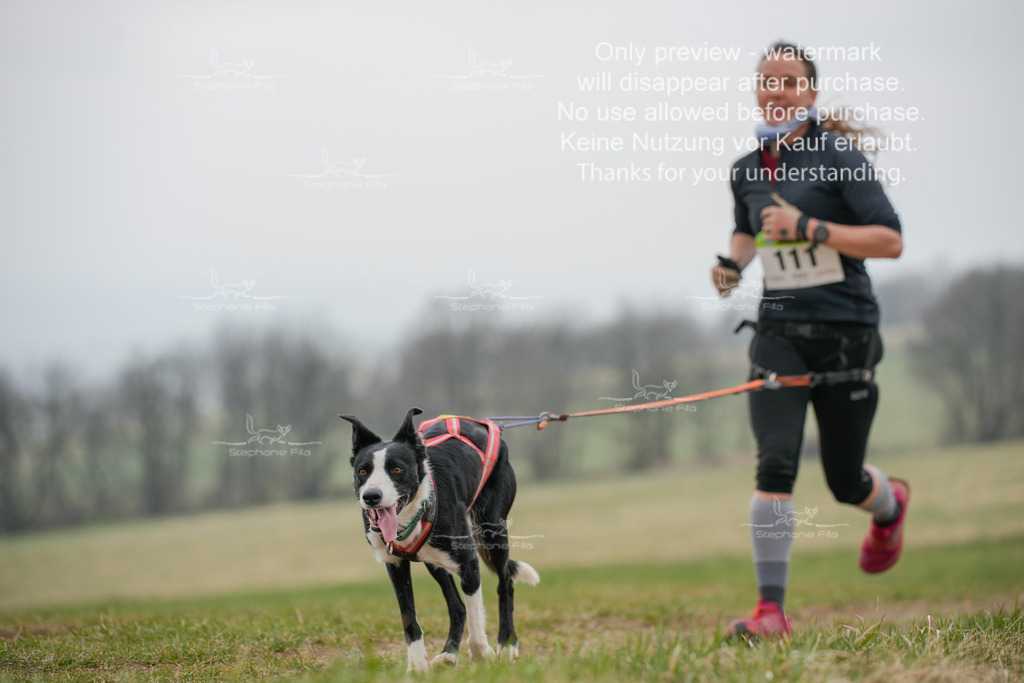 Canixlong-315 | stephaniefillaphotographie - Realisiert mit Pictrs.com