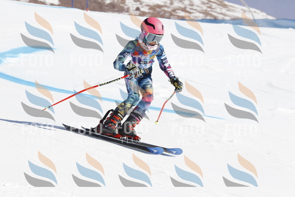 _U3G8863 | holidayphoto