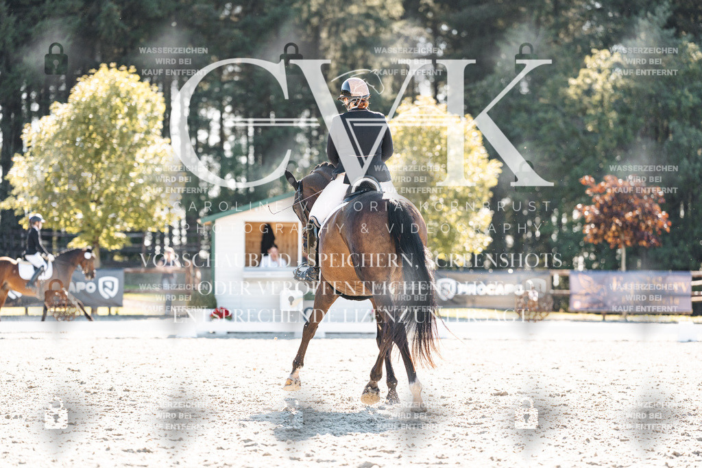 CK906135 | Turnierfotografie Pferdefotografie Trier Rheinland-Pfalz Pferdesport Reitsport Tierfotografie Sportfotografie Pferdevideo Pferdevideografie Equestrianvideography equestrianphotography  - Realisiert mit Pictrs.com