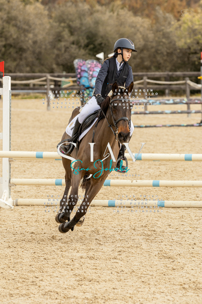 IMG_4591 | s-jay-photography - Realisiert mit Pictrs.com