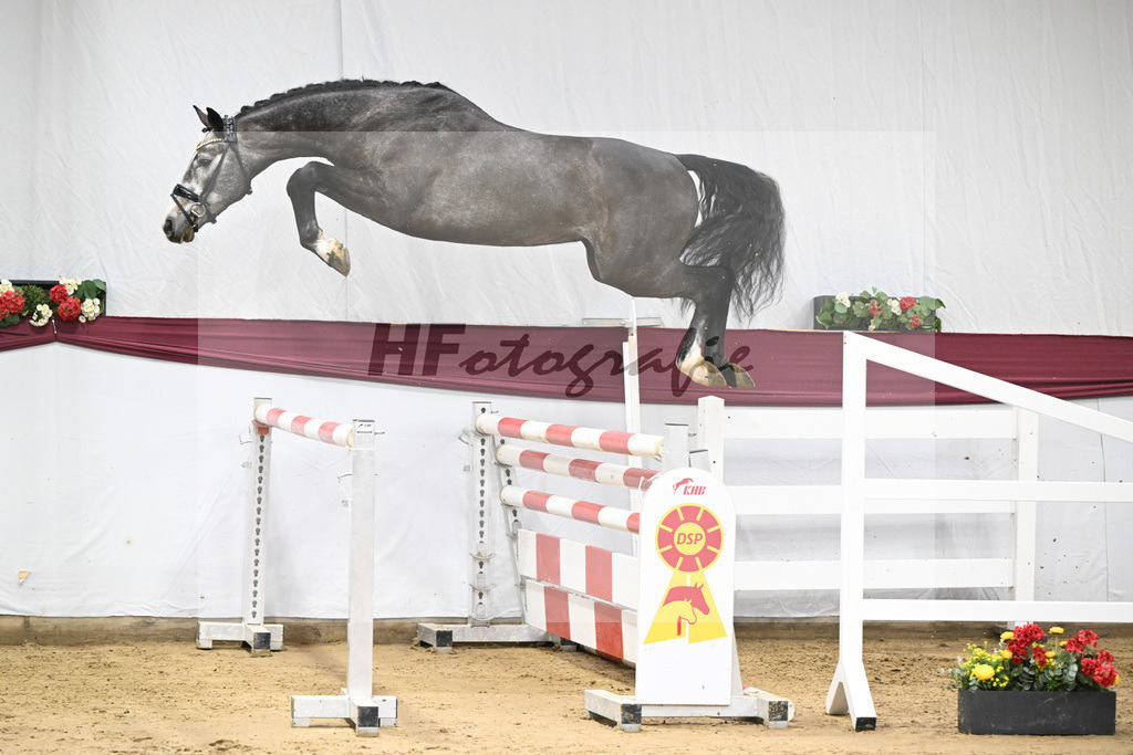 Kat-Nr. 72 Chacoon Blue x Contagio_Matthias Schlamminger GmbH_47252950 | hf-fotografie - Realisiert mit Pictrs.com