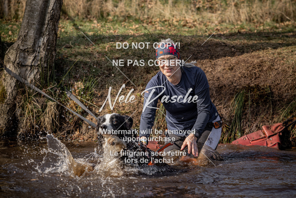 nelerasche_FS1330-1400_229 | nelerasche