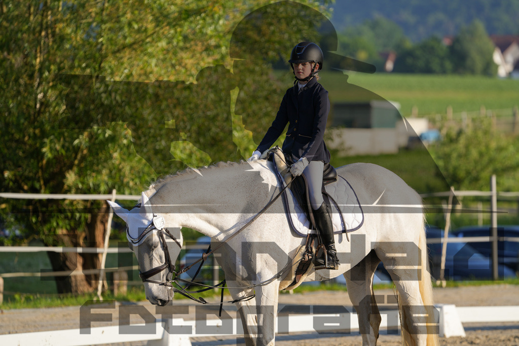 DSC02586 | Julian Held Fotografie - Realisiert mit Pictrs.com