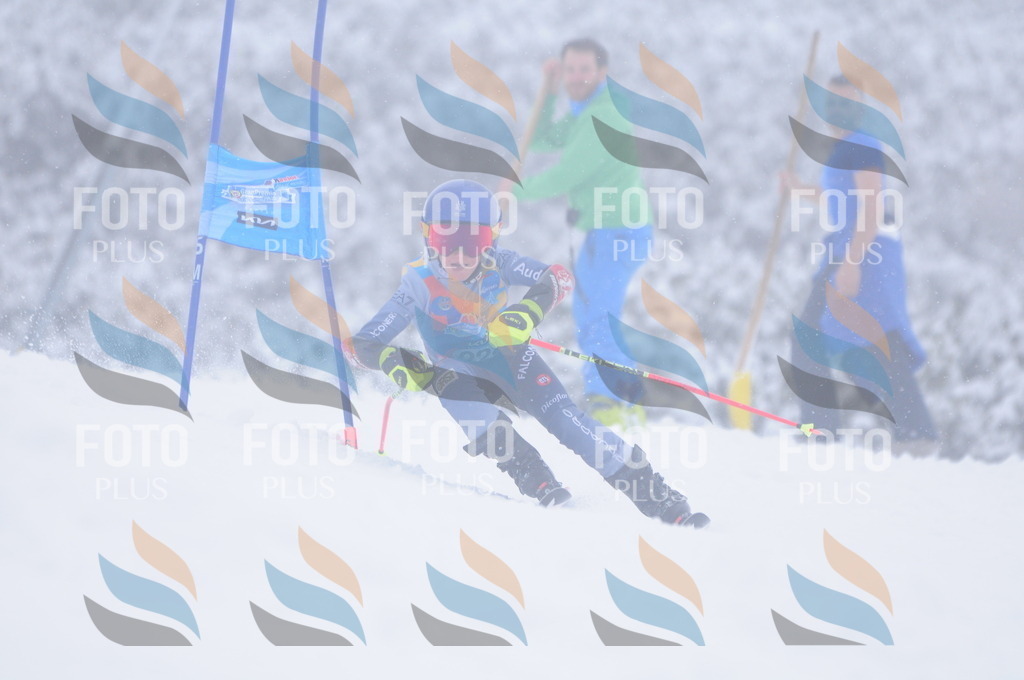 C2366 | holidayphoto