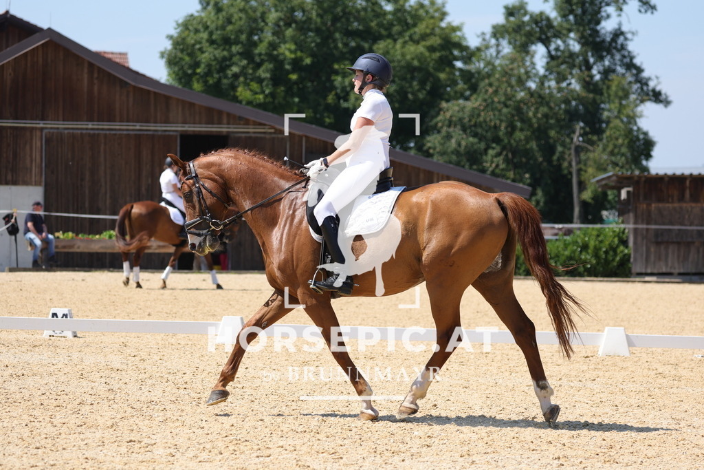 0P6A0923 | Willkommen bei Brunnmayr - Design & Fotografie – Ihrem Spezialisten für Reitturniere und Pferdeveranstaltungen in Oberösterreich, Salzburg und Bayern! Seit über 17 Jahren sind wir leidenschaftlich dabei.