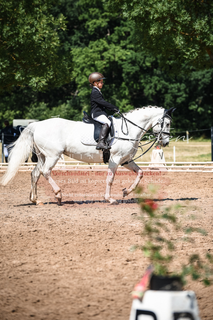 DSC_3590 | Pferde- und Turnierfotografie in Westsachsen. Pferdeportraits, Auftragszeichnungen und intuitive Kunst.