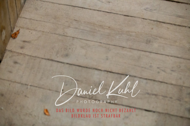 IMG_1858 | Turniersportfotografie; Pferdefotografie; Dressurfotografie