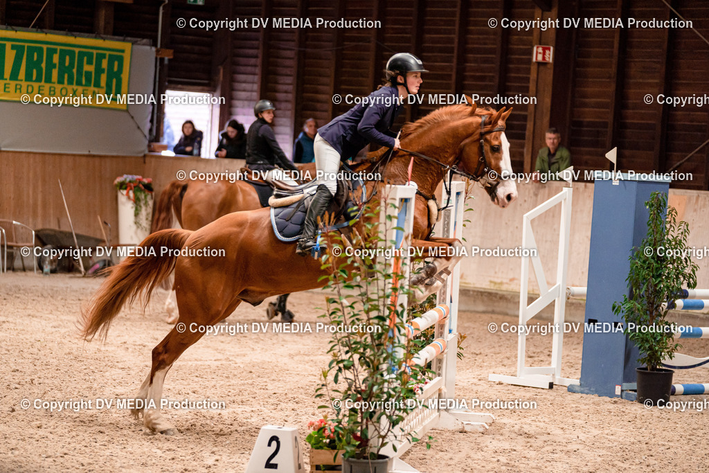 Springen Tag 2-193 | dv-media-shop - Realisiert mit Pictrs.com