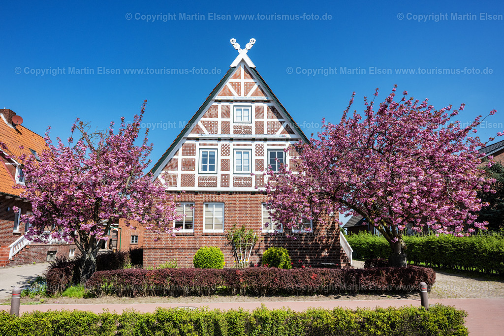 Altes Land Jork Westerjork Fachwerkhaus Kirschblüte_ELS_0059230423 | Fotos aus den Touristenorten aus Norddeutschland. - Realisiert mit Pictrs.com