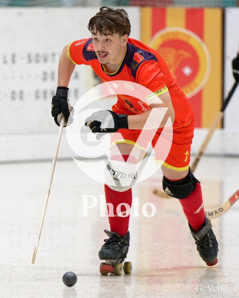 DSC_3379 | Velletri Photo