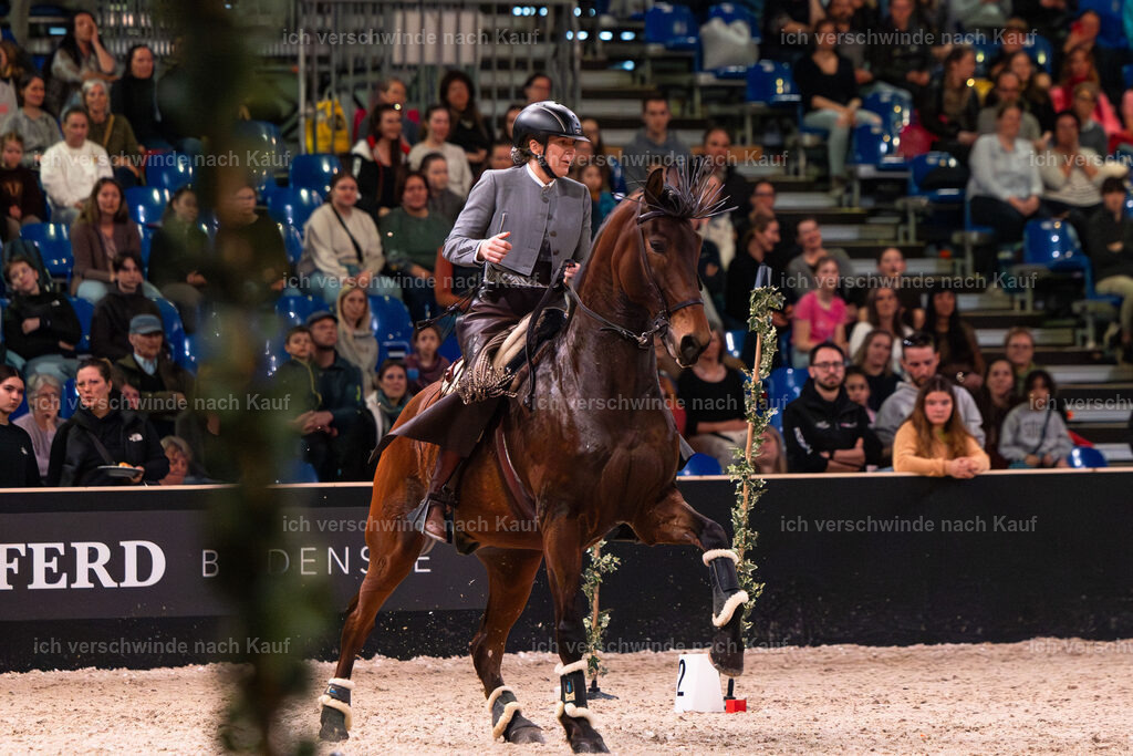 JoseraCup-185 | working equitationturnier fotograf videograf stoibphotography marixx film working equitation deutschland reitsport turnierfotografie eventfotografie equestrian events
