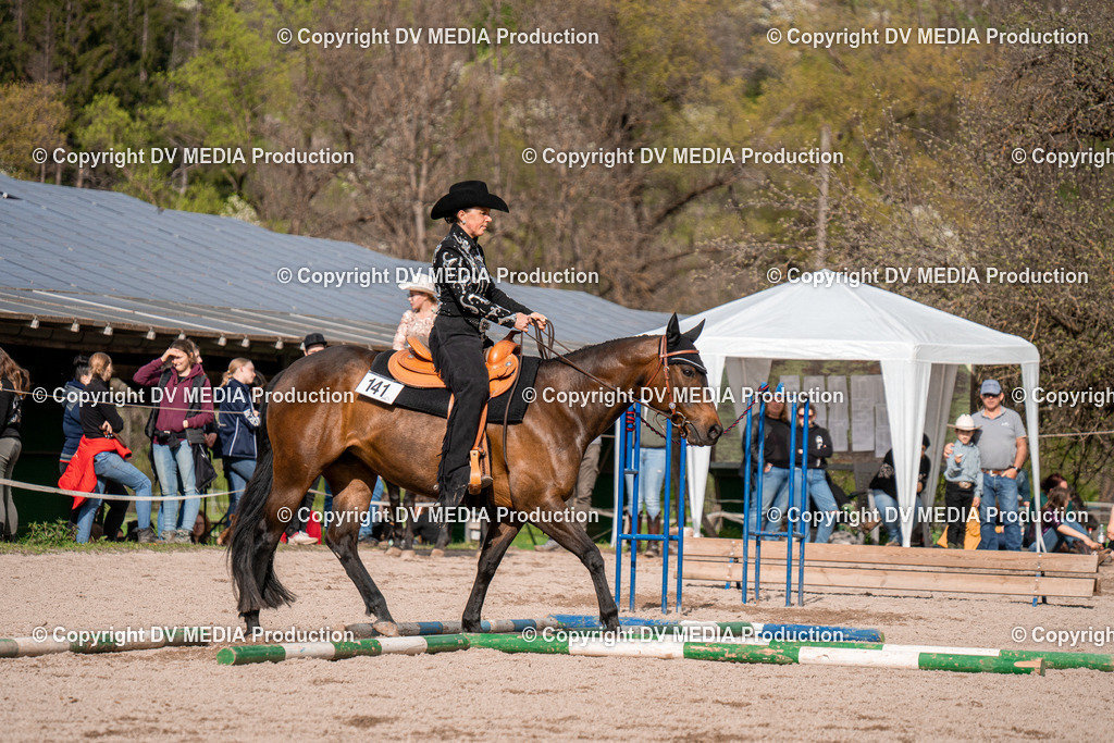 BAL02771 | dv-media-shop - Realisiert mit Pictrs.com