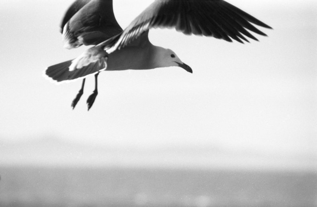 1-04-1024-668 | Erweiterte und schöne Fotografie... 
Kommerzieller Wahnsinn und absolut überbewertet