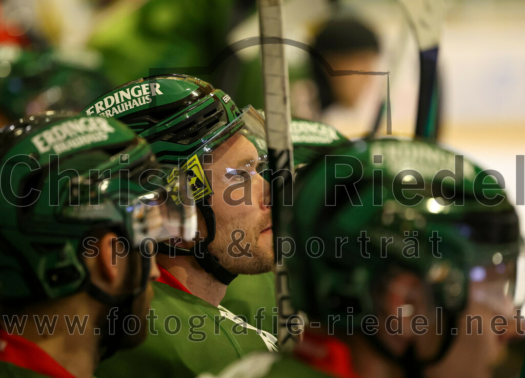 2023-12-26_081_TSV_Erding_gegen_ERV_Schweinfurt | Erding, Deutschland, 26.12.2023:
Eishockey, Bayernliga Vorrunde 2023 / 2024, 20. Spieltag, TSV Erding gegen ERV Schweinfurt, Endergebnis: 9:3

Thomas Plihal (Erding Gladiators, #39)

Foto: Christian Riedel / fotografie-riedel.net