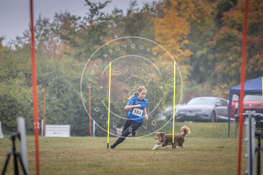 Pfotenfotografie_DV3A0027 | Hundefotografie, Tierfotograf, Pfotenfotografie, Fotoshooting Hund, Hunde Portrait, Hundesport, Hundeportraits, Heideshooting, Hunde, Sportfotograf, Hundefotograf, Turnierhundsport, THS,  - Realisiert mit Pictrs.com