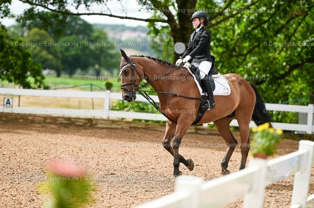 20230716_10-1_Reiter-WB Schritt - Trab - Galopp_0097 | equistock